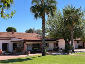 a house with two palm trees in the yard at Casablanca in Candeleda