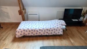 a bedroom with a bed and a desk with a television at Logement à 5 min du parc Astérix in Plailly