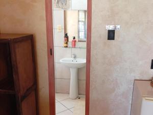 a bathroom with a sink and a mirror at Petra Lodge in Edenvale +17 photos