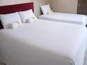 two white beds sitting next to each other in a room at Petra Lodge in Edenvale