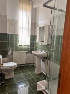a bathroom with a sink and a toilet and a shower at Hotel Casa Traiana in Alba Iulia