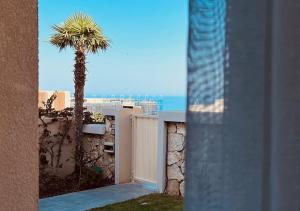 a palm tree behind a white fence with a gate at Vila Mara in Dhërmi