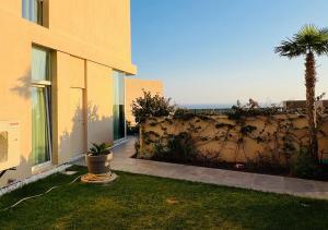 a house with a palm tree next to a wall at Vila Mara in Dhërmi