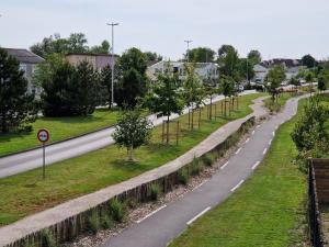 a road with trees on the side of a street at ATELIER DE BERCK - Gîte 6p avec Parking GRATUIT & TERRASSE in Berck-sur-Mer