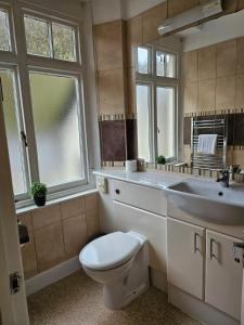 a bathroom with a toilet and a sink at The Rockford Inn in Lynton +61 photos