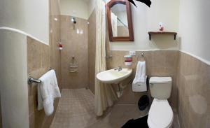 a bathroom with a toilet and a sink at Hotel Vizcaíno León in León +13 photos