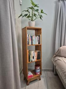 a book shelf with a potted plant on top of it at Courtleigh Cottage in Hilton