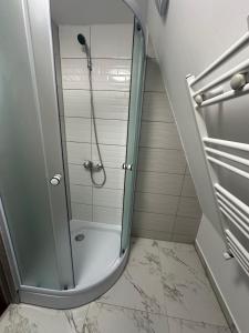 a shower with a glass door in a bathroom at Aframe -Melissa in Baia de Fier +30 photos