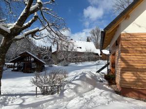 a yard covered in snow next to a house at Selina in Janske Lazne