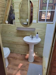 a bathroom with a sink and a toilet at Romantic Cozy Serene A Frame Mountain Cabin in Cayey +29 photos