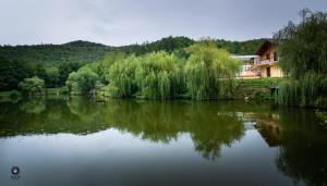 a lake with trees and a house in the background at Ioska Boro in Mehadica