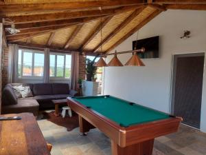 a living room with a pool table and a couch at Villa Nicoletta in Polača