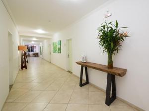 a hallway with a table with a plant on it at Hotel do Feijão in Cachoeira Paulista