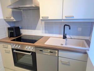 a small kitchen with a sink and a stove at Sauna Apartment Adelina Bad Wörishofen in Bad Wörishofen