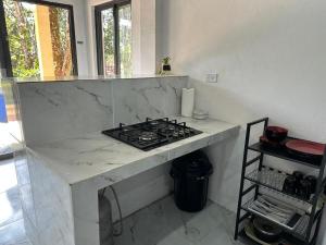 a kitchen with a counter with a stove in it at Blue Dream in Los Altos de Cerro Azul +19 photos