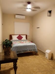 a bedroom with a bed and a ceiling fan at casa bajlum in Valladolid