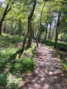 a person riding a bike down a dirt path in a forest at En-Suite Private Room Brocton Village in Bednall