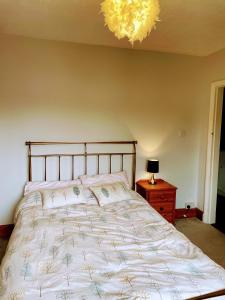 a bedroom with a large bed and a chandelier at En-Suite Private Room Brocton Village in Bednall