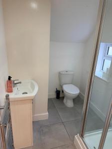 a bathroom with a toilet and a sink and a shower at Epsom High Street Apartment 6 in Epsom