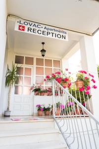a flower shop with potted plants on the stairs at Pansion Lovac in Cavtat
