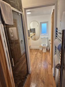 ein Badezimmer mit Toilette und Spiegel in der Unterkunft Vimy House in Clifden