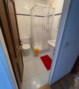 a bathroom with a shower and a toilet and a sink at Landhotel Max & Moritz in Liebenau
