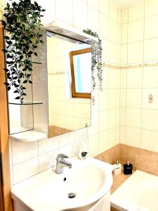 a bathroom with a sink and a mirror and a plant at Mountain View House - Panoramic! in Gozd Martuljek +24 photos