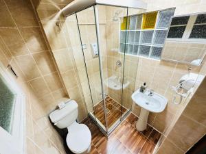 a bathroom with a toilet and a shower and a sink at Skyline in La Paz