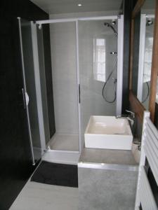 a bathroom with a shower and a white sink at La bergerie in Chaillevette