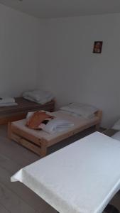 two beds in a room with a white wall at Pokoje do wynajęcia w domku in Ryczówek