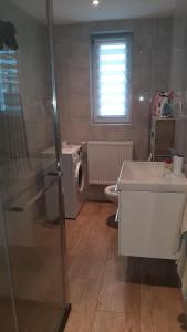 a bathroom with a sink and a washing machine at Pokoje do wynajęcia w domku in Ryczówek