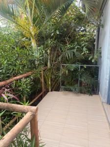 a wooden walkway in a garden with plants at May 7 in Soroti