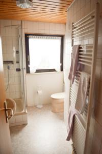 a bathroom with a toilet and a sink and a window at Gästehaus Heuchert in Meersburg +6 photos