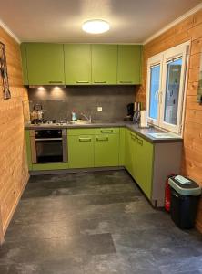 a green kitchen with green cabinets and a window at Waldhaus Wangen in Burg-Reuland