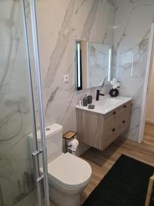a bathroom with a toilet and a sink and a mirror at Ninho D`ouro in Peso da Régua +14 photos