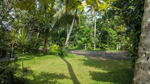 a park with palm trees and a dirt road at Highwalton Estate Heritage Bungalow in Udasgiriya
