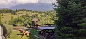 a picnic table and chairs in the grass with a mountain at Pensiunea Pestera in Peştera