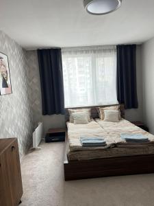 a bedroom with a large bed and a window at Forum Apartment in Stara Zagora