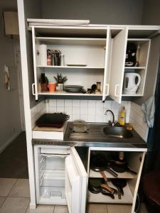 a kitchen with white cabinets and a sink at Studio au calme in Péronnas