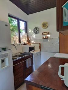 a kitchen with a sink and a counter top at Piknik Garden in Senta +26 photos