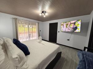 a bedroom with a bed and a tv on the wall at Harmony Home La Fortuna in Fortuna