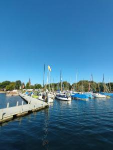a bunch of boats are docked at a dock at Parva Domus XL in Xanten