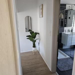 a hallway with a potted plant and a mirror at Sauerland Apartments in Schwalefeld +127 photos
