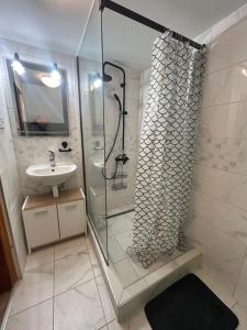 a bathroom with a shower and a sink at Hostinec Na hrázi in Hamr na Jezeře +12 photos
