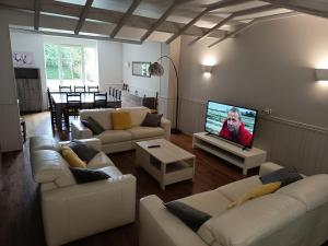 a living room with couches and a flat screen tv at Le gÎte du mazagran in Leffincourt
