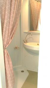 a bathroom with a sink and a shower curtain at Le gÎte du mazagran in Leffincourt +13 photos