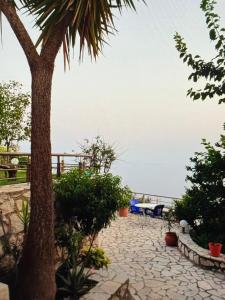 a patio with a palm tree and a table and chairs at Sea View in Dhermi in Gjilek +3 photos