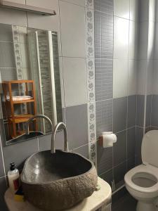 a bathroom with a stone sink and a toilet at Prvi maj in Ub