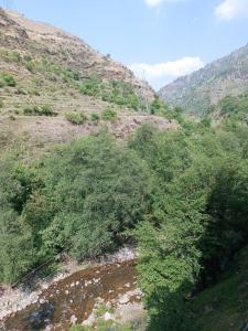 an overhead view of a hill with trees and a river at Apple Bud Homestay in Ghund