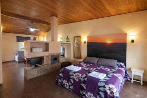 a bedroom with a large bed and a fireplace at Casas Rurales Los Cortijos in Alcaraz